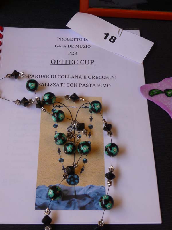 OPITEC DAY 2010 115